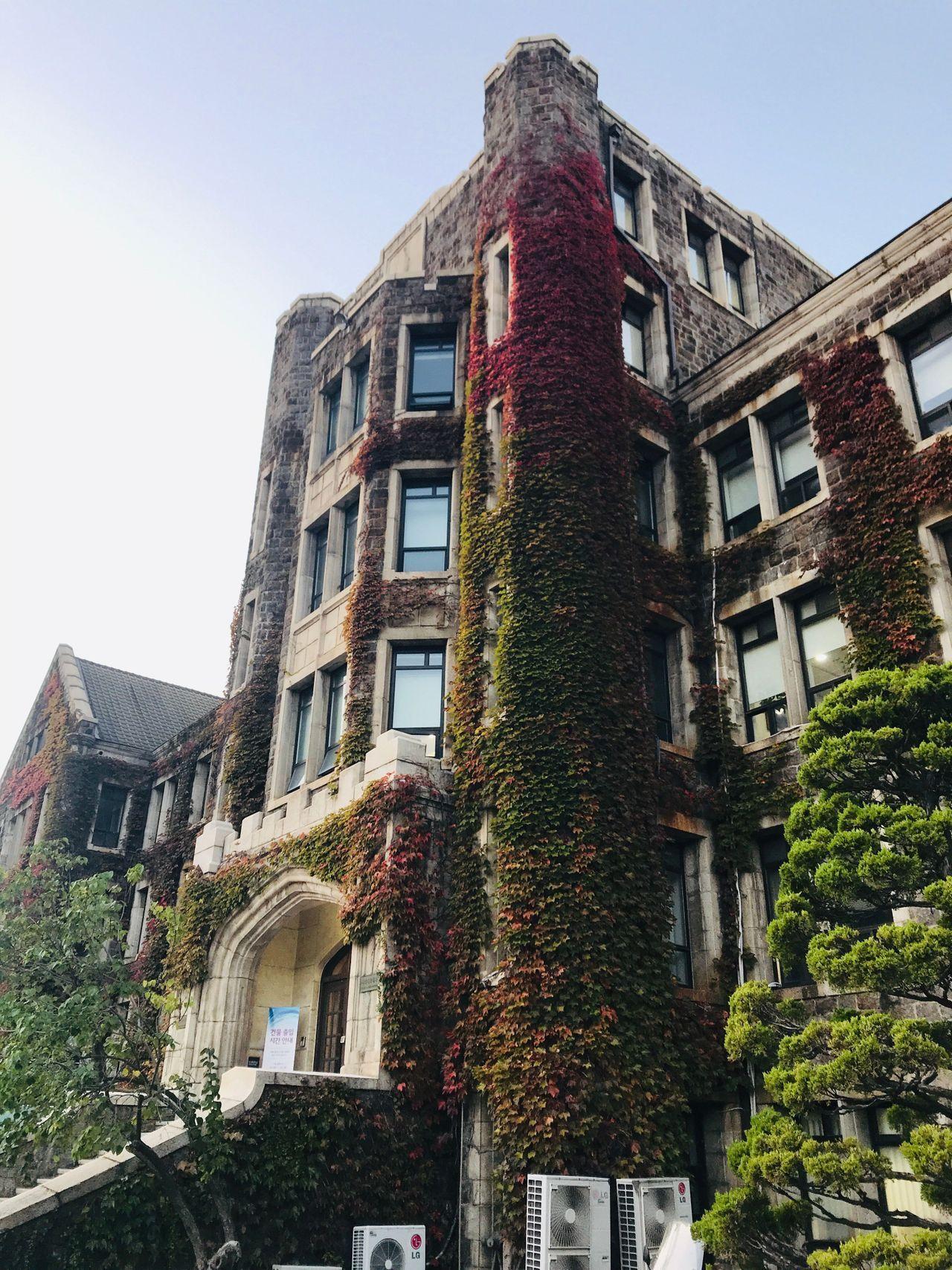 延世大学的建筑群，周围环境充满自然色彩，为学生提供学习的好地方。